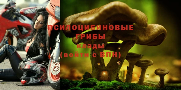 амф Богданович