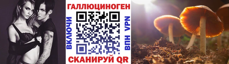 Псилоцибиновые грибы прущие грибы  Борзя 